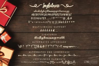 Joyfulness Script Font by LTNG — Script Handwritten Font — thumbnail 8