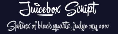 Juicebox Script by Måns Grebäck — Script Handwritten Font — thumbnail 2