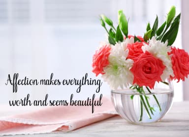 Julia Font by maydhen studio — Script Handwritten Font — thumbnail 6