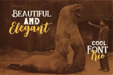 Jumbo Font by JumboDesign — Script Handwritten Font — thumbnail 3