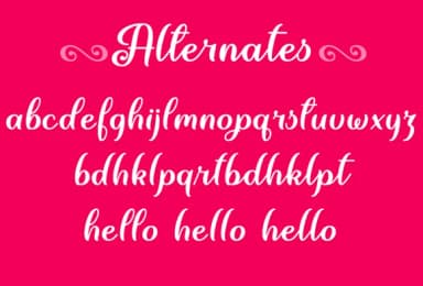 June Calligraphy Font by Misti — Script Handwritten Font — thumbnail 4