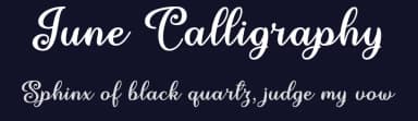June Calligraphy by Misti's Fonts — Script Handwritten Font — thumbnail 2