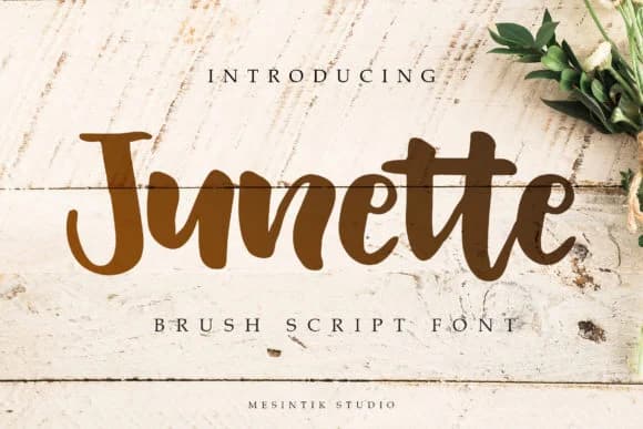 Junette Font by mesintikstudio — Script Handwritten Font