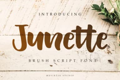 Junette Font by mesintikstudio — Script Handwritten Font — thumbnail 1
