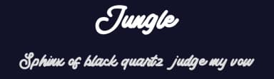 Jungle by Vunira Design — Script Handwritten Font — thumbnail 2