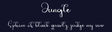 Jungle by Erik Studio — Script Handwritten Font — thumbnail 2