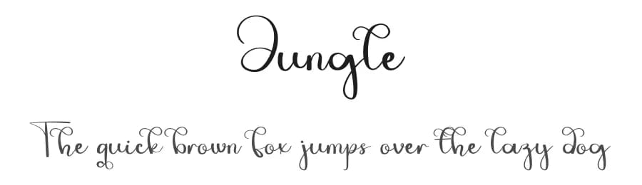 Jungle by Erik Studio — Script Handwritten Font