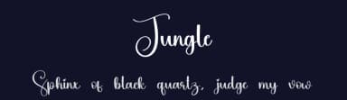 Jungle by Scratchones — Script Handwritten Font — thumbnail 2