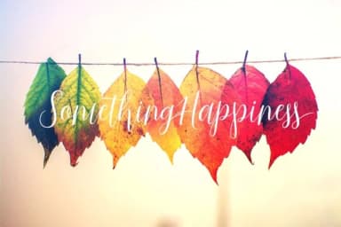 Just Married Script Font by gatype — Script Handwritten Font — thumbnail 6