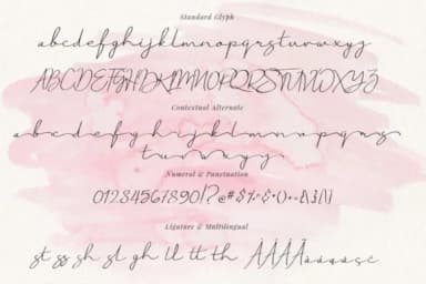 Just Signature Font by CreatypeStudio — Script Handwritten Font — thumbnail 8