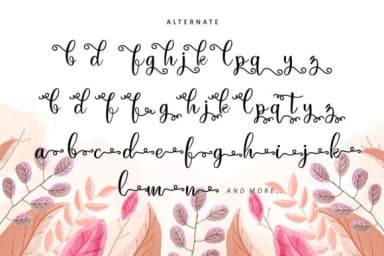 Just Swirls Font by HansCo — Script Handwritten Font — thumbnail 7