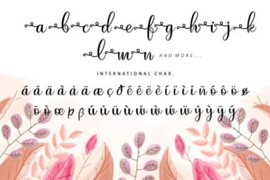 Just Swirls Font by HansCo — Script Handwritten Font — thumbnail 8
