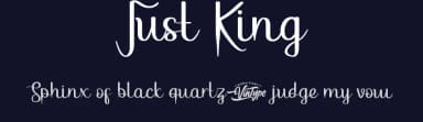 Just King by VinType — Script Handwritten Font — thumbnail 2