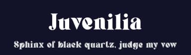 Juvenilia by UI Creative — Serif Font — thumbnail 2