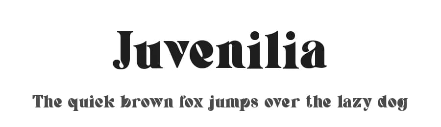 Juvenilia by UI Creative — Serif Font