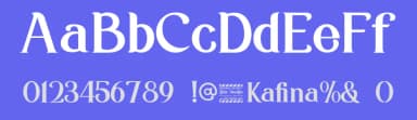 Kafina by Din Studio — Serif Font — thumbnail 3