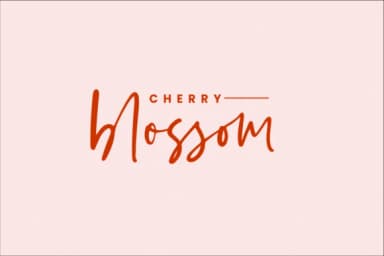 Kaileigh Font by Sronstudio — Script Handwritten Font — thumbnail 4