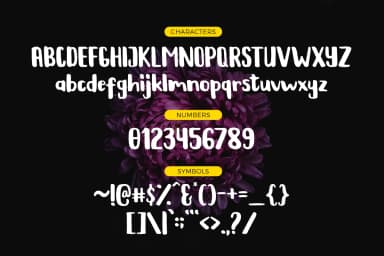 Kaliber Font by Debut Studio — Script Handwritten Font — thumbnail 6