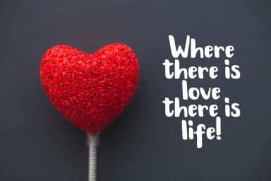 Kaliber Font by Debut Studio — Script Handwritten Font — thumbnail 5