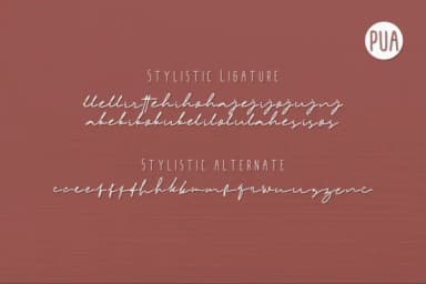 Kambia Font by Mozyen Studio — Script Handwritten Font — thumbnail 5