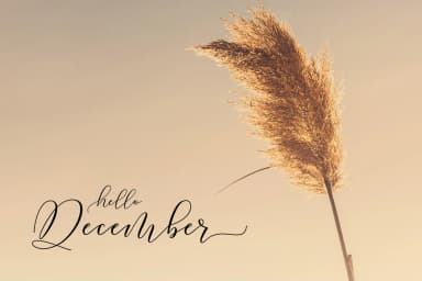 Kamelia Font by Megatype — Script Handwritten Font — thumbnail 6