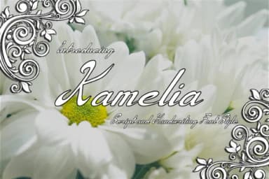 Kamelia Font by F2 Gallery by F2 Gallery — Script Handwritten Font — thumbnail 1