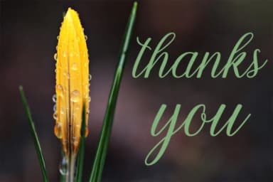 Kamikaze Font by Encolab — Script Handwritten Font — thumbnail 6