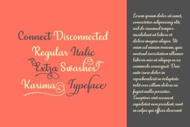 Karima Font by The Traveling Fox — Script Handwritten Font — thumbnail 8
