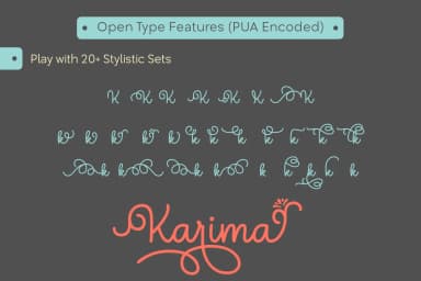 Karima Mono Font by The Traveling Fox — Script Handwritten Font — thumbnail 4