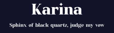 Karina by Graphicxell — Serif Font — thumbnail 2