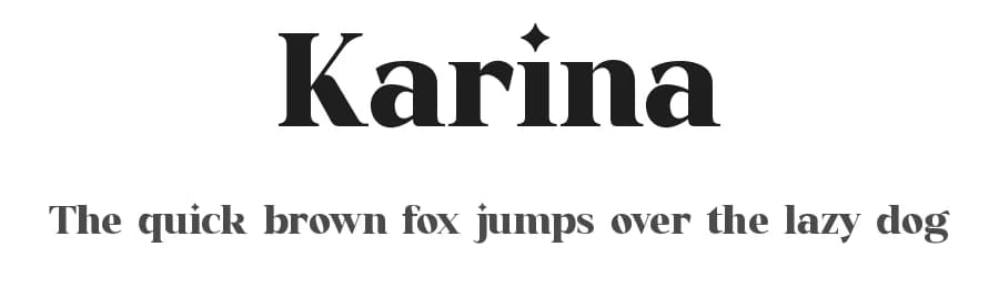 Karina by Graphicxell — Serif Font