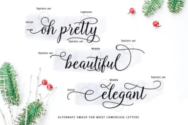 Kasandra Script Font by Great Studio — Script Handwritten Font — thumbnail 4