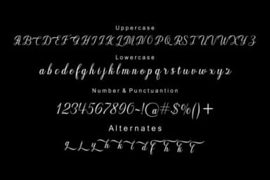 Kathyna Script Font by STRAIGHT.CO — Script Handwritten Font — thumbnail 6