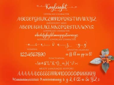Kayleight Font by Byuly Ayika — Script Handwritten Font — thumbnail 5