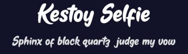 Kestoy Selfie by cove703 — Script Handwritten Font — thumbnail 2