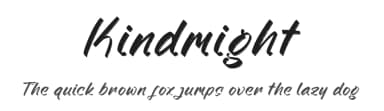 Kindmight by Letterena Studios — Script Handwritten Font — thumbnail 1