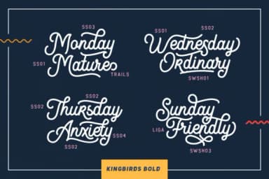 Kingbirds Script Font by letterhend — Script Handwritten Font — thumbnail 3