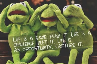 Kingdom Font by ed.creative — Script Handwritten Font — thumbnail 4