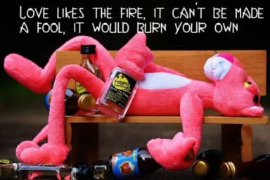 Kingdom Font by ed.creative — Script Handwritten Font — thumbnail 5