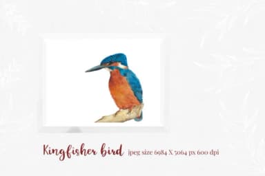 Kingfisher Font by Primafox Design — Script Handwritten Font — thumbnail 4