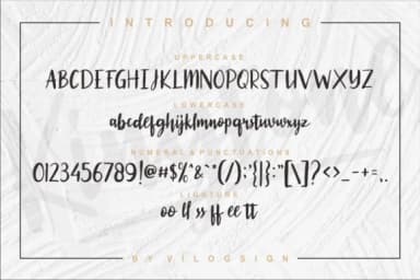 Kingtone Font by Vilogsign — Script Handwritten Font — thumbnail 4