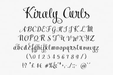 Kiraly Font by Digital Typeface Studio — Script Handwritten Font — thumbnail 3