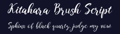 Kitahara Brush Script by Balibilly Design — Script Handwritten Font — thumbnail 2