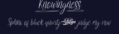 Knowingness by VinType — Script Handwritten Font — thumbnail 2