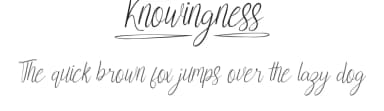 Knowingness by VinType — Script Handwritten Font — thumbnail 1