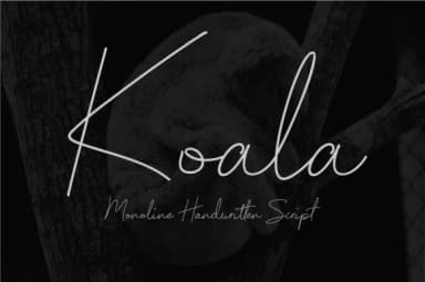 Koala Script Font by priaadmaja — Script Handwritten Font — thumbnail 1