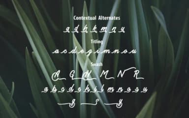 Koeltoerals Font by Eifets — Script Handwritten Font — thumbnail 7