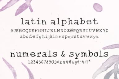 Kold Font by nantia — Script Handwritten Font — thumbnail 2