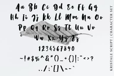 Kristale Font by PointLab — Script Handwritten Font — thumbnail 7