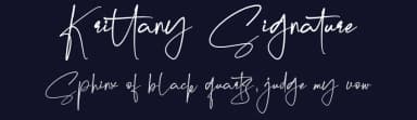 Krittany Signature by FinTypeStudio — Script Handwritten Font — thumbnail 2